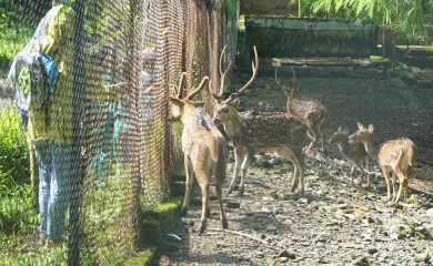 Kunjungan Kober Suta Mulia Sutawangi