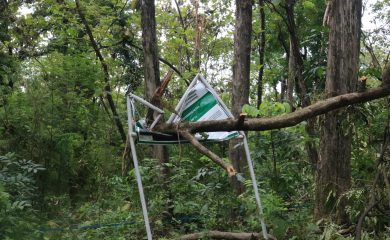 Pengamanan Pohon Tumbang Akibat Angin Puting Beliung