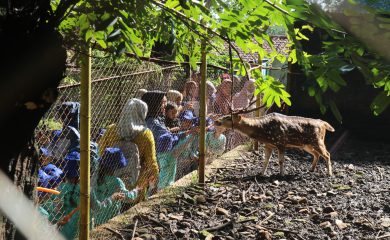 Kunjungan TK Pancawati Kecamatan Dawuan